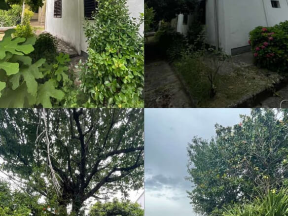 House for sale in Bar – BHK8