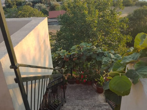 2-room apartment for rent in Dobra Voda – MDV2