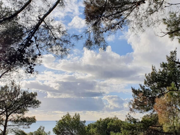 Grundstück Wald und Meer in Bar – SUS01