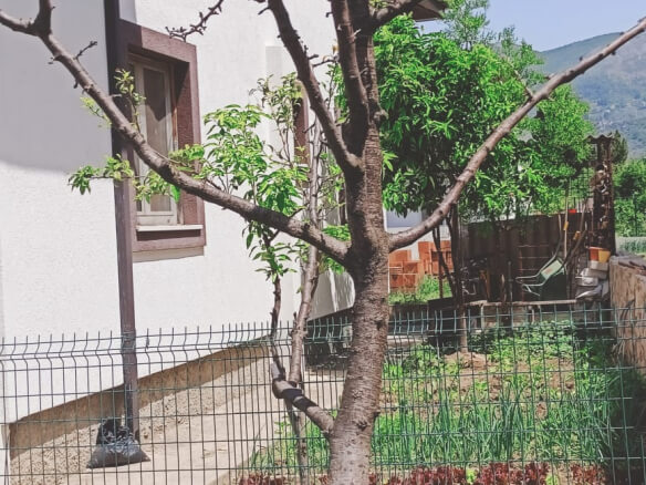 House for sale in Bar – BHK63