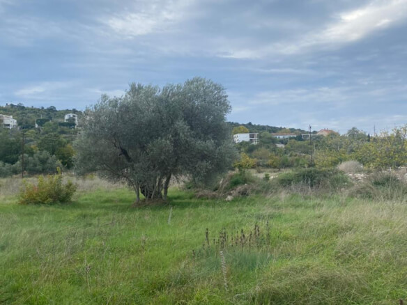 Land for sale in Pećurice – P10