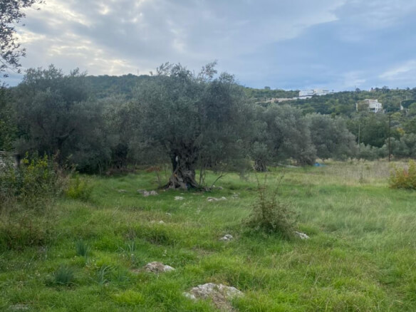 Land for sale in Pećurice – P10