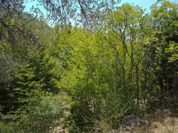 Land for sale in Tudemili – Tu3