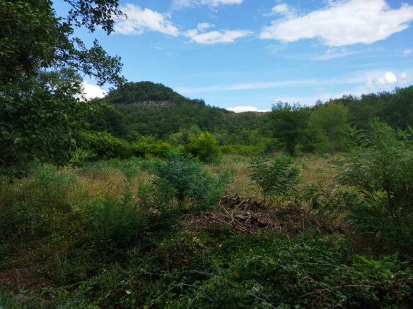 Prodajem zemljište u Orahovu/ kod Skadarskog jezera – Or1