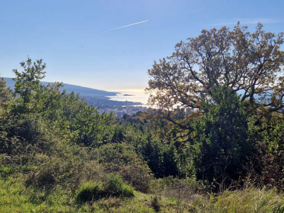 Prodajem zemljište u Dobroj Vodi/ Pod Glavicom – DV51