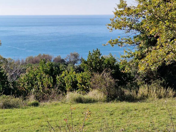 Prodajem zemljište u Dobroj Vodi/ Pod Glavicom – DV51