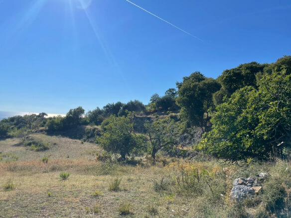 Land for sale in Dobra Voda – DV55