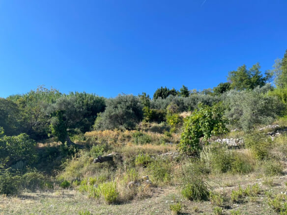 Land for sale in Dobra Voda – DV55