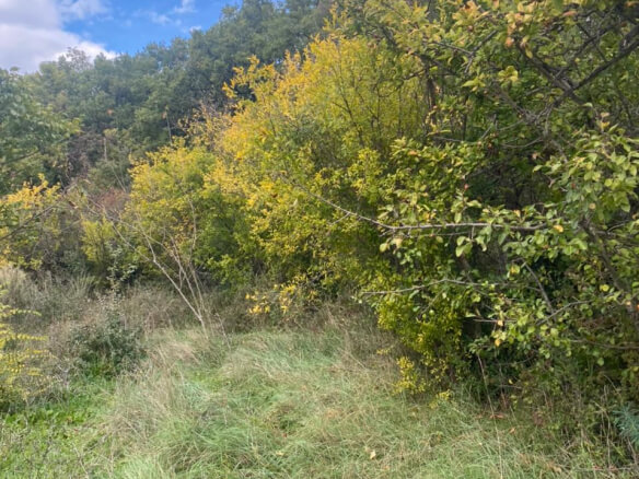 Grundstück zum Kauf in Pećurice – P8