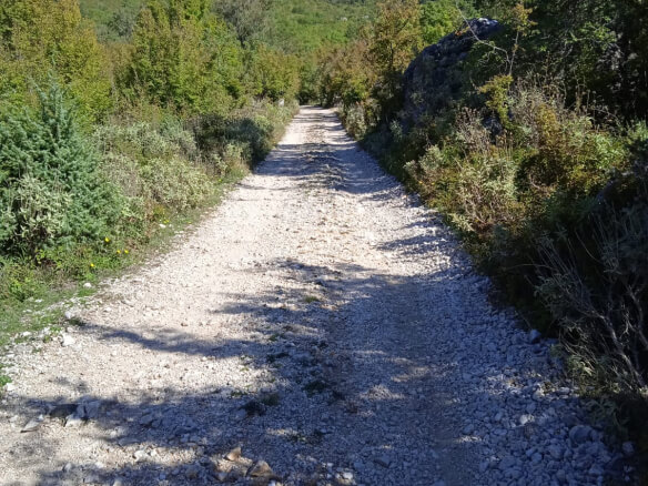 Prodaje se zemljište u Zupcima – Zu3