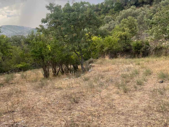Land for sale in Zaljevo/Bar – B55
