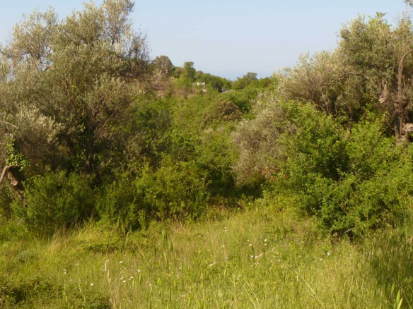 Grundstück zum Kauf in Komina/ Kunje – Kom2