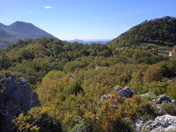 Prodaje se zemljište u Zupcima – Zu3