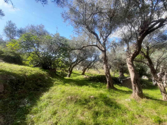 Land with old house for sale in Bartula/Bar – Ba1