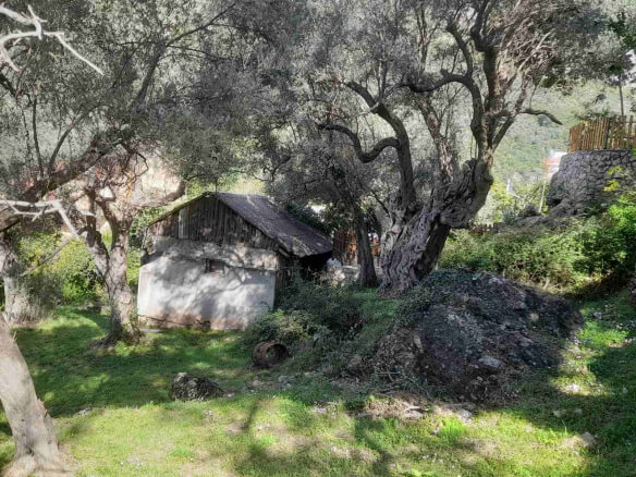 Land with old house for sale in Bartula/Bar – Ba1