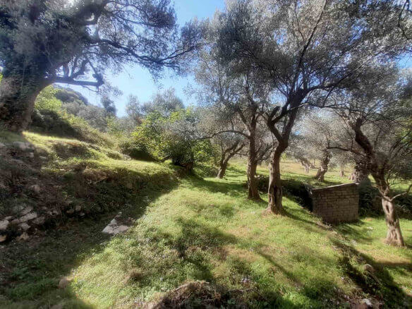 Land with old house for sale in Bartula/Bar – Ba1