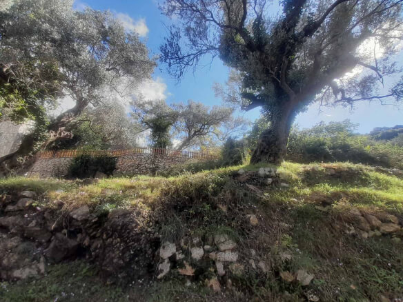 Land with old house for sale in Bartula/Bar – Ba1