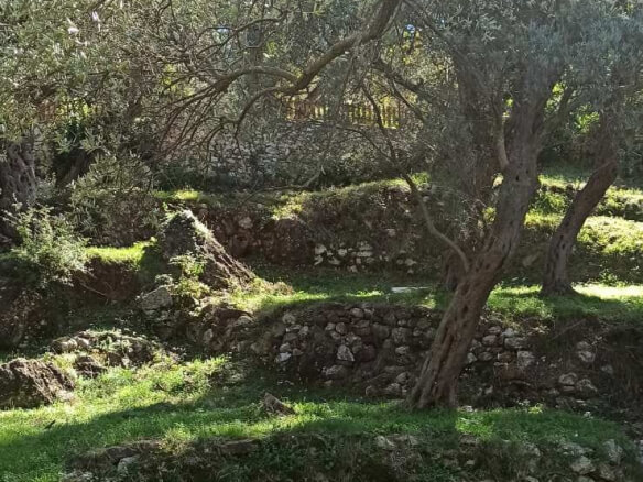 Land with old house for sale in Bartula/Bar – Ba1