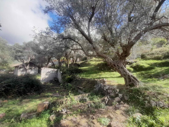 Land with old house for sale in Bartula/Bar – Ba1