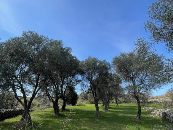 Plot of land for sale in Kunje – K12