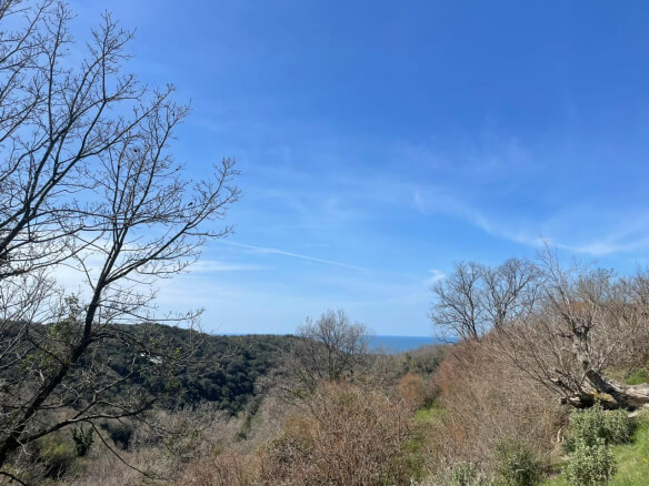 Prodaje se zemljište sa starim ruševinama u Kunjama – K16