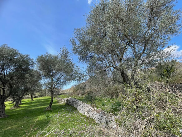 Plot of land for sale in Kunje – K12