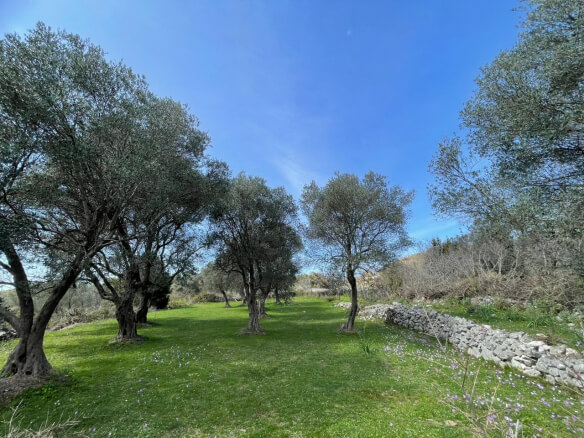 Plot of land for sale in Kunje – K12