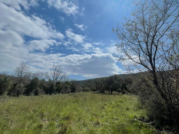 Plot of land for sale in Pećurice – P14