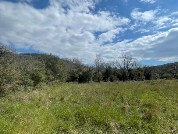 Plot of land for sale in Pećurice – P14