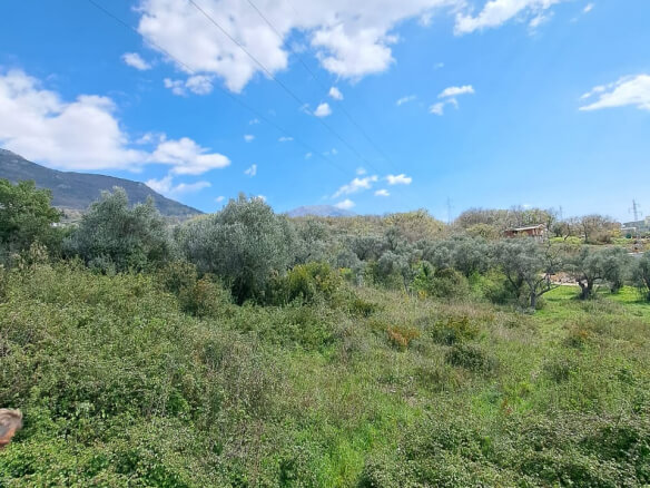 Plot of land for sale in Bjelisi – BJ1