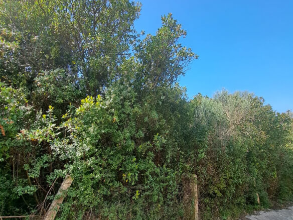 Grundstück zum Kauf in Utjeha – U7