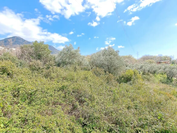 Plot of land for sale in Bjelisi – BJ1