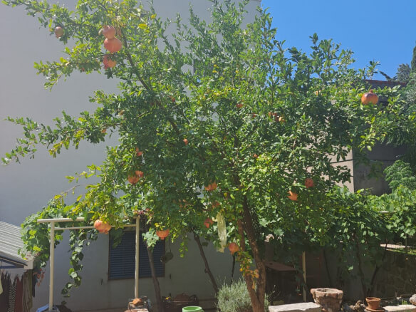 House for sale in Sutomore – SHK15