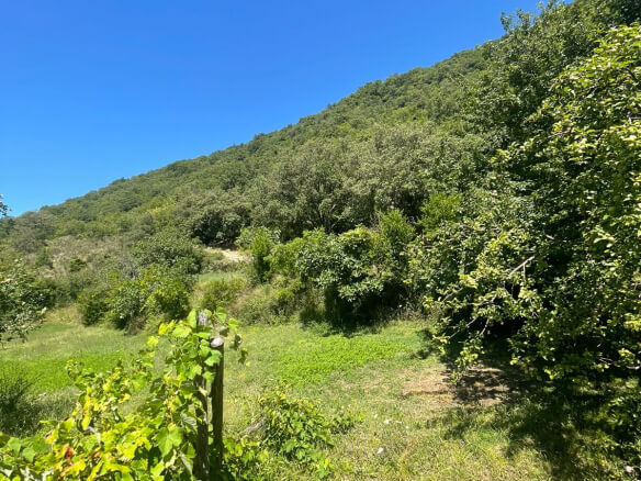 2 kuće u Starom Baru na ogromnom placu – BHK