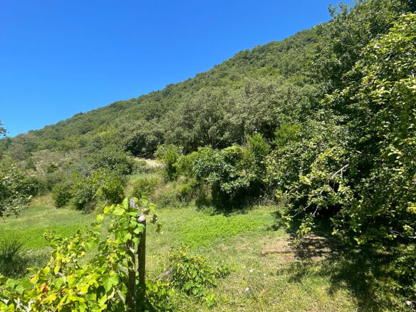 2 kuće u Starom Baru na ogromnom placu – BHK