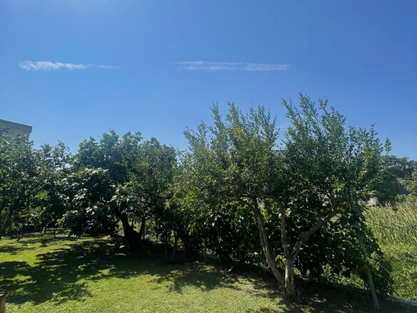 Apartmenthaus in Sutomore zum Kauf – SHK16