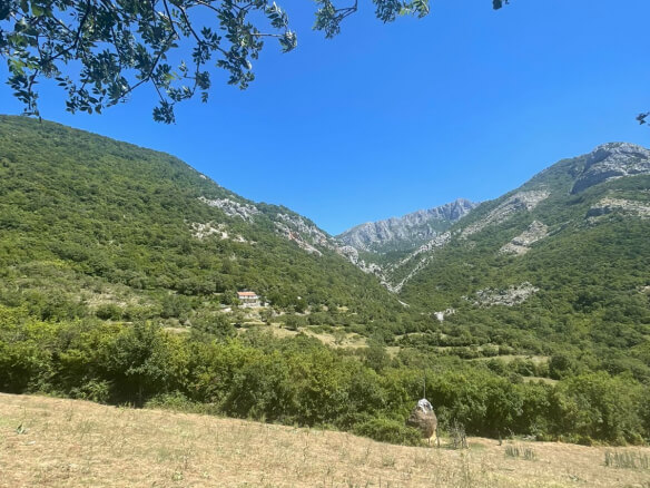 2 kuće u Starom Baru na ogromnom placu – BHK