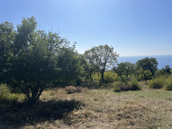 Plot of land in Dobra Voda – DV61