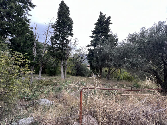 Plot in Stari Bar with spring and olive trees – SB1