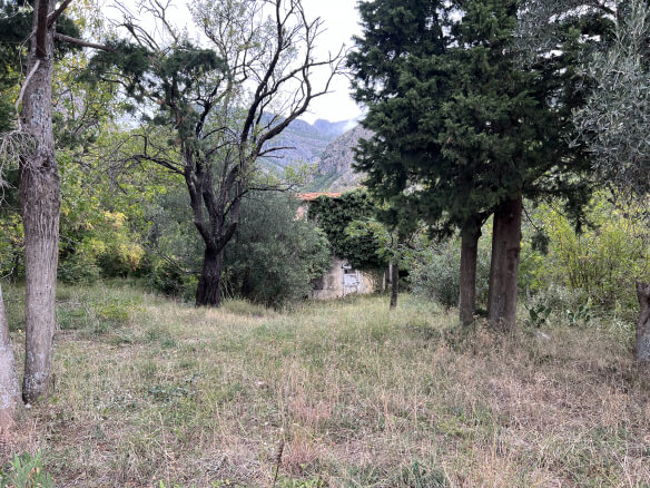 Plot in Stari Bar with spring and olive trees – SB1