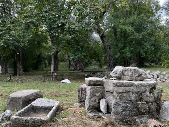 Plot in Stari Bar with spring and olive trees – SB1