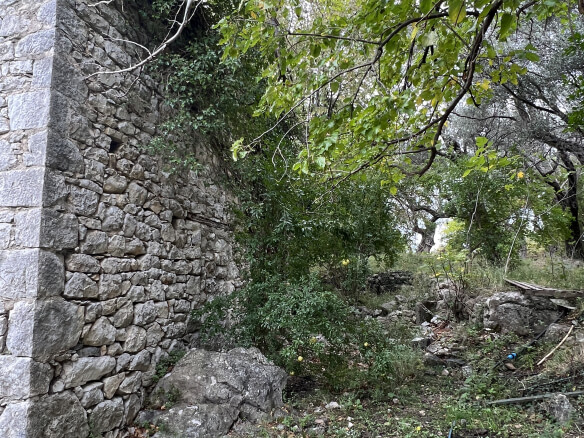 Plot in Stari Bar with spring and olive trees – SB1
