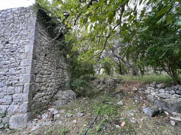 Plot in Stari Bar with spring and olive trees – SB1