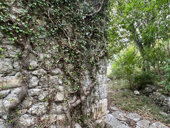 Plot in Stari Bar with spring and olive trees – SB1