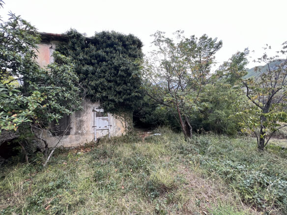 Plot in Stari Bar with spring and olive trees – SB1