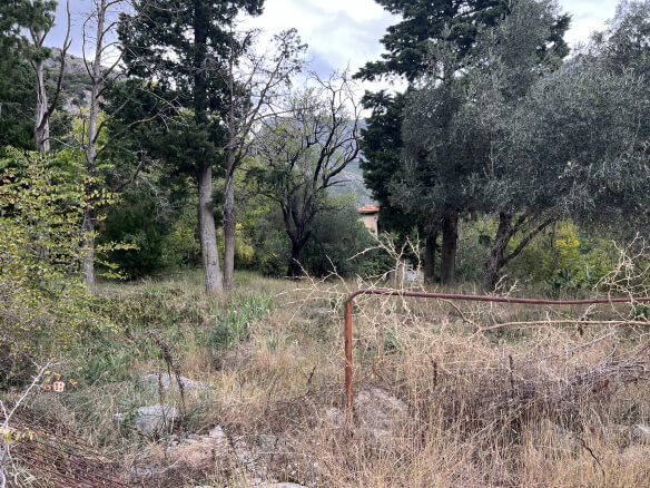 Plot in Stari Bar with spring and olive trees – SB1