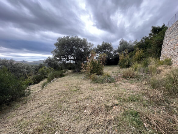Plot in Stari Bar with olive trees and mountain views – SB2