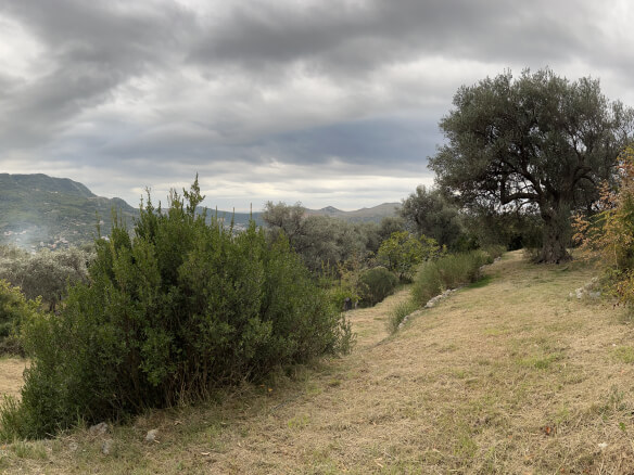 Plot in Stari Bar with olive trees and mountain views – SB2