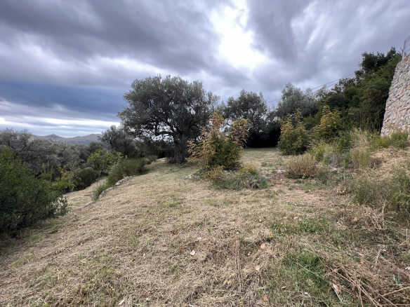 Plot in Stari Bar with olive trees and mountain views – SB2