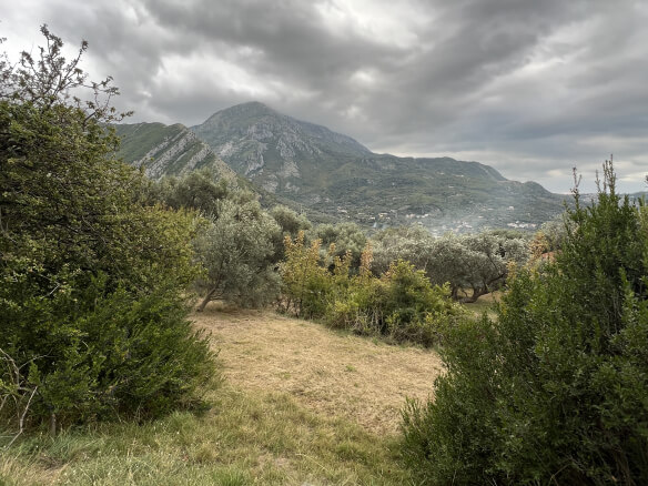 Plot in Stari Bar with olive trees and mountain views – SB2
